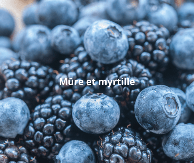 Bougie Mûre et Myrtille "Fraicheur des sous-bois"