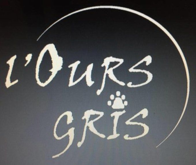 L'ours gris